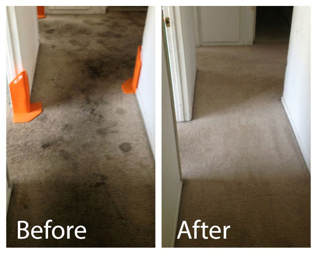 Carpet Cleaning Blog Everette Carpet Care and Restoration
