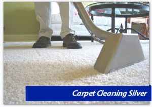 Carpet Cleaning Virginia,MD, DC