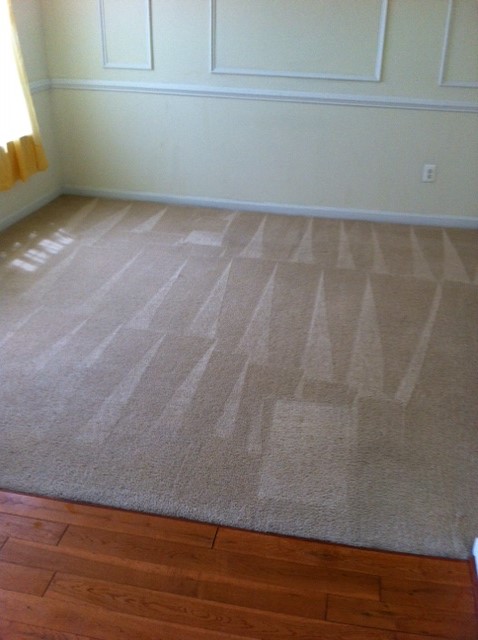 carpet cleaning image