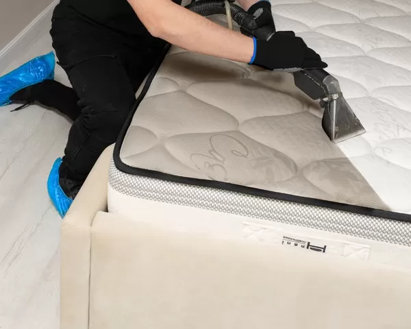 mattress cleaning northern virginia
