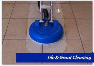 Tile & Grout Cleaning
