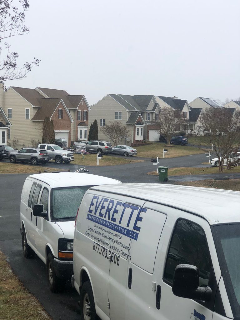 winter carpet cleaning