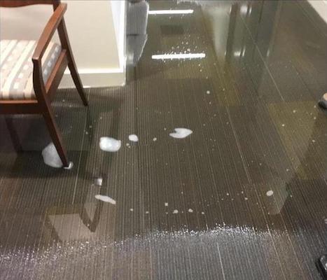 water-damage-carpet