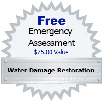 Water damage repair