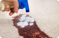 carpet cleaners spotsyvania va