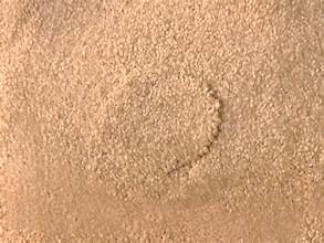 patching a carpet