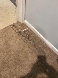 carpet repair