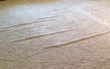 minor and major carpet repair services