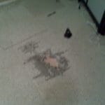 Carpet Repair Hole In Carpet
