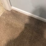 Carpet Patch (After)