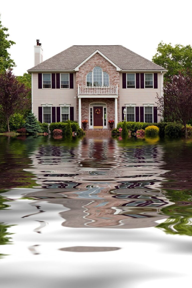Triangle VA Water Damage Repair Service
