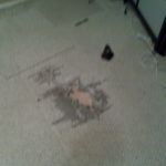 Carpet Repair Hole In Carpet