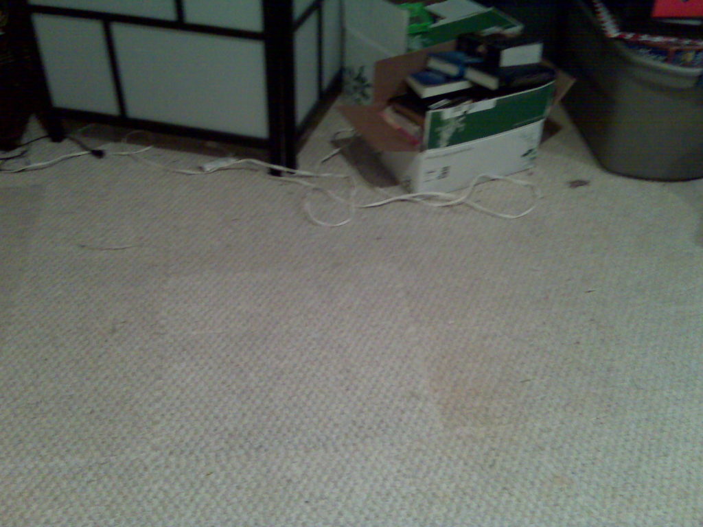 Carpet Repair After Pic