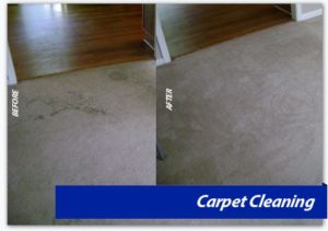 Carpet Cleaning dc, northern virginia, maryland