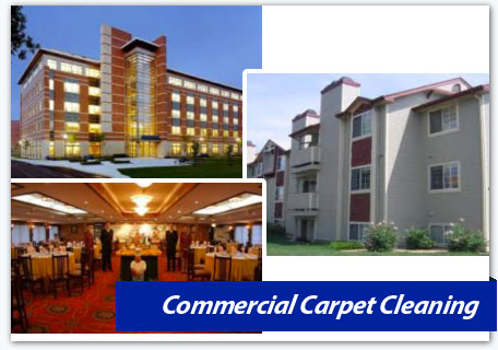 northern virginia, dc, & md,commercial carpet cleaning