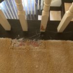 Carpet Repair Hole in Carpet (Before)