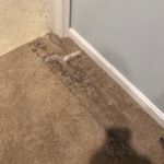 Carpet Patch (Before)