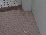 Before ripped carpet example