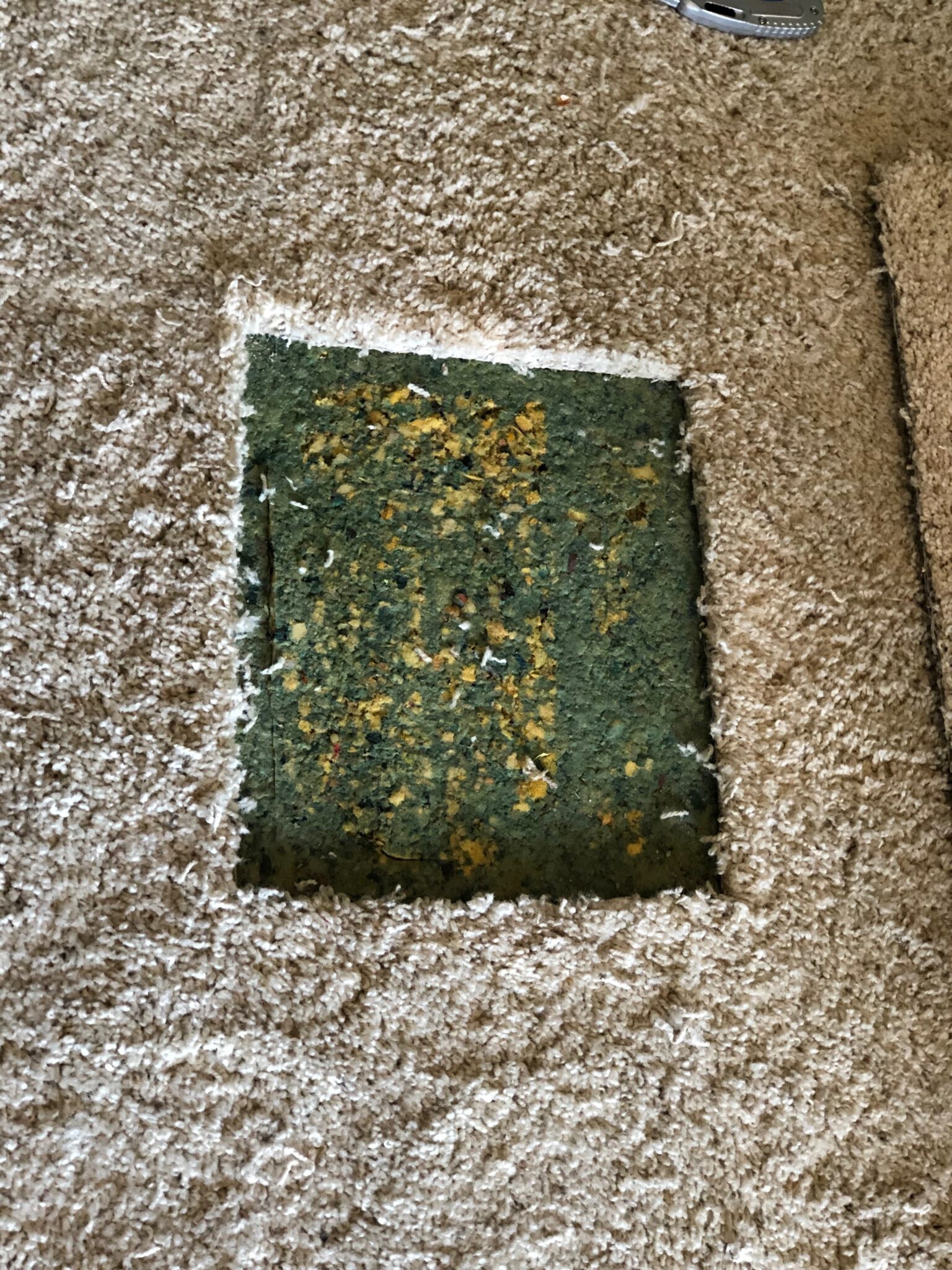 hole in carpet