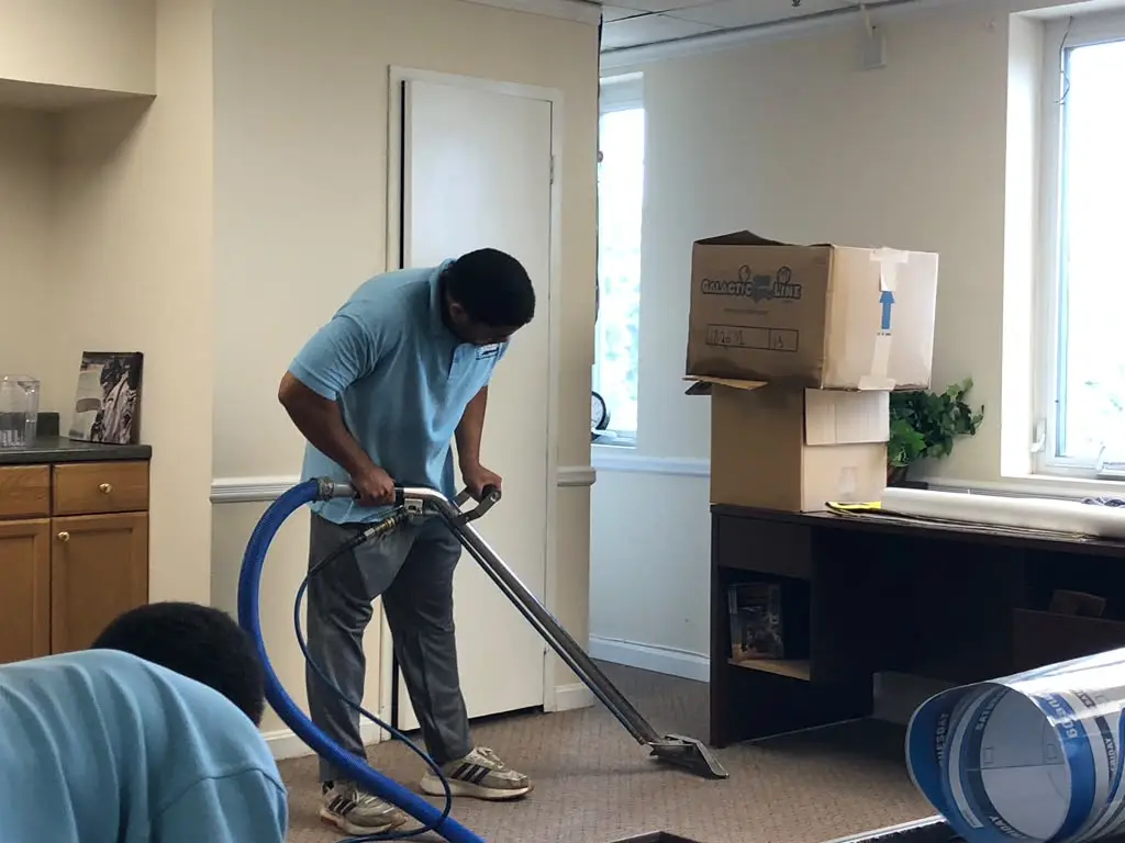 carpet cleaning